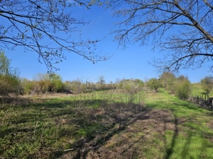 Vânzare teren 4606 mp - Sat Bâlta - Runcu - la aproximativ 20 km de Târgu Jiu - imagine 4
