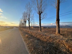 Vânzare teren intravilan 2,5 ha - infrastructură industrială și hală funcțională