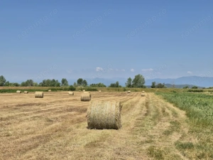 Vânzare teren situat în comuna Drăguțești, la 9 km distanță de Târgu Jiu - imagine 5