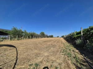 Vânzare casă cu teren impresionant, în Targu Jiu, strada Slobozia - imagine 8 Vânzare casă cu teren impresionant, în Targu Jiu, strada Slobozia - imagine 8