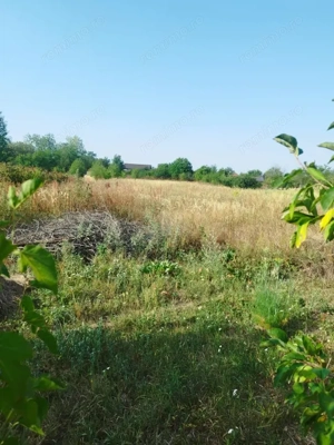 Teren intravilan situat pe strada Vârful Mândra, Târgu Jiu - imagine 5