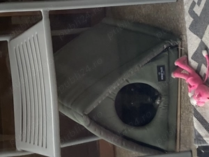 Catelusa schnauzer pitic  - imagine 3