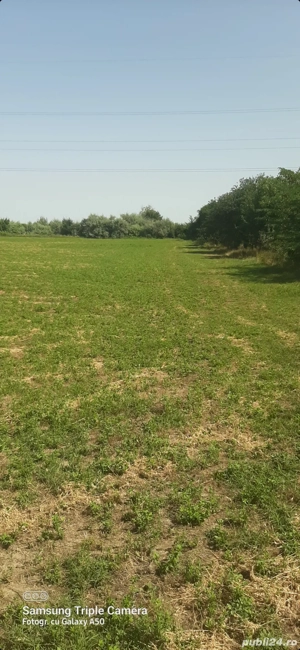 Teren intravilan de vânzare  - imagine 4