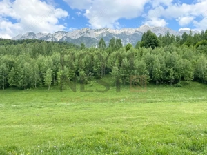 COMISION 0%! Teren superb la Plaiul Foii, pe malul Barsei