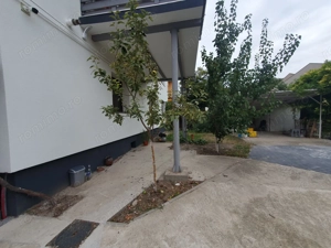 De inchiriat 3 camere la parterul unei Vile- 2537 - imagine 10