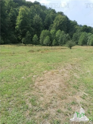 Teren intravilan - Berevoiesti - Arges - imagine 4