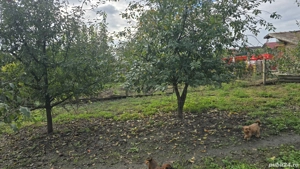 casă de vânzare  - imagine 6