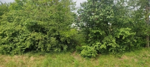 Teren intravilan  - imagine 4