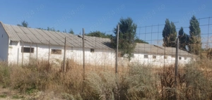 inchiriez sau vand hala