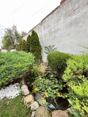 Ronat - Casa Individuala - Teren 900mp - Toate utilitatile - imagine 18