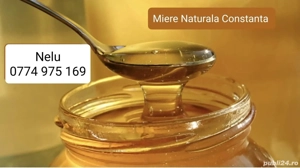 Vand miere naturala Constanta 