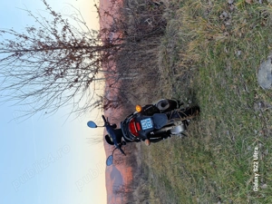 Explorer 50cc sport  - imagine 2 Explorer 50cc sport  - imagine 2