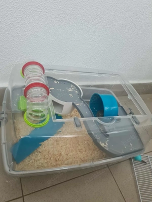 Hamster pitic cu cușcă, mâncare și asternut.