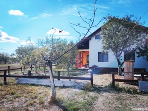 Casă de vânzare   Cerneți, Mehedinți