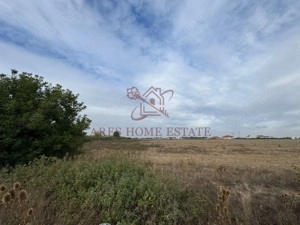 Oportunitate de investitie, zona cu potențial de urbanizare – Moșnița - imagine 3