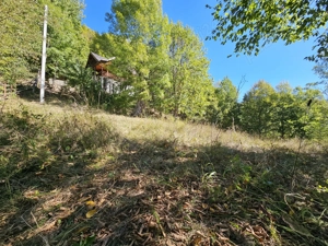 Cabană de vânzare   Lepșa, jud. Vrancea - Cheile Tișiței - imagine 4