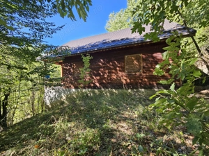 Cabană de vânzare   Lepșa, jud. Vrancea - Cheile Tișiței - imagine 8