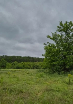 De vanzare - TEREN construcții 700 mp - lizieră - Siliștea Snagovului - imagine 2