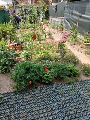 De vanzare apartament pe doua niveluri cu curte proprie - imagine 10