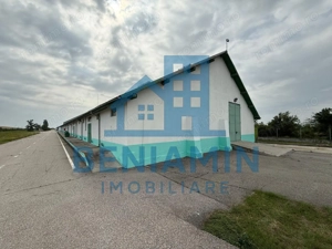 Depozit Cereale-3 Silozuri-Aut ISU-31.000mp-Perfect functional-Olt - imagine 8