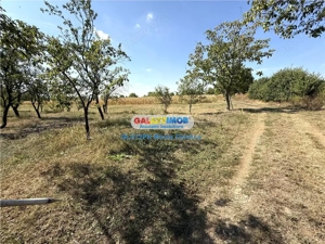 Vanzare teren intravilan Baicoi Central - imagine 7