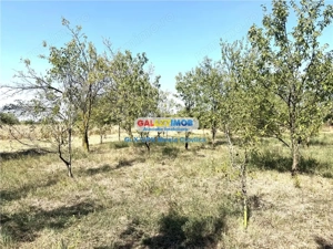 Vanzare teren intravilan Baicoi Central - imagine 2