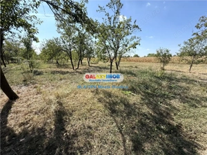 Vanzare teren intravilan Baicoi Central - imagine 6