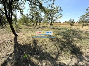 Vanzare teren intravilan Baicoi Central - imagine 8