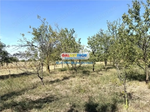 Vanzare teren intravilan Baicoi Central - imagine 3