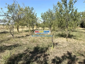 Vanzare teren intravilan Baicoi Central