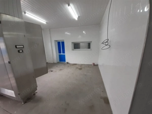 Hala - flux DSV - domeniu alimentar - productie sau catering