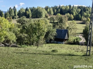 Teren agricol cu casă de vânzare   Sohodol, comuna Albac, Munții Apuseni, județul Alba