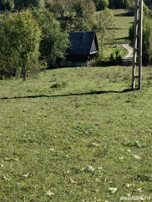 Teren agricol cu casă de vânzare   Sohodol, comuna Albac, Munții Apuseni, județul Alba - imagine 3