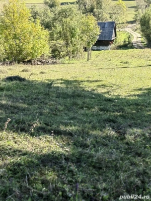 Teren agricol cu casă de vânzare   Sohodol, comuna Albac, Munții Apuseni, județul Alba - imagine 2