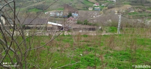 vand teren in Perieni  - imagine 3