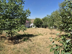 Casă săsească de vânzare   Zăbrani, Arad - imagine 10