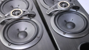 Boxe podea Kenwood,2x100W,6Ohm. - imagine 4