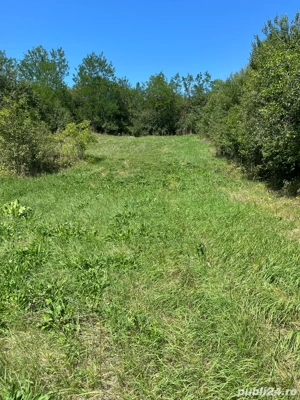 Vând teren intravilan  - imagine 4 Vând teren intravilan  - imagine 4