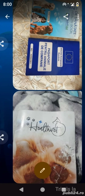 100euro bucata - imagine 5   100euro bucata - imagine 5