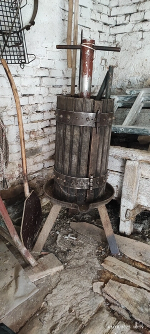 Teasc de stors struguri și mere 