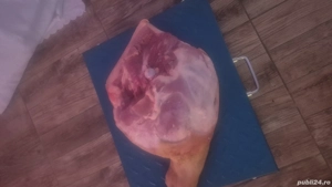 vind carcasa porc si pulpe sau slanina cu carne 