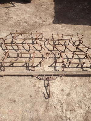 Grape grapi ... - imagine 2