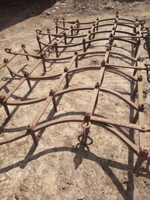 Grape grapi ... - imagine 3