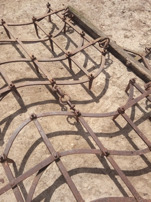 Grape grapi ... - imagine 4