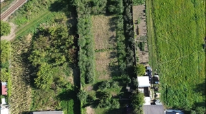 Teren 1594 mp intravilan - Suceava - Scheia! - imagine 7 Teren 1594 mp intravilan - Suceava - Scheia! - imagine 7