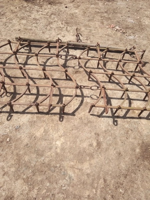 Grape grapi ... - imagine 6