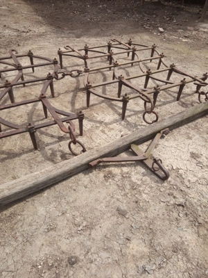 Grape grapi ... - imagine 8