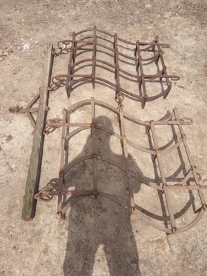 Grape grapi ... - imagine 7