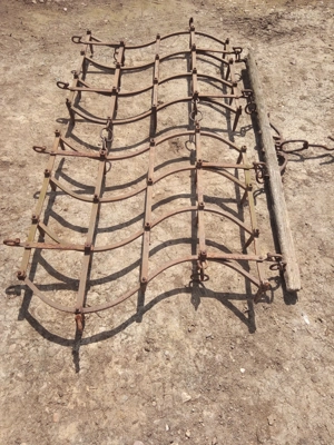 Grape grapi ... - imagine 9