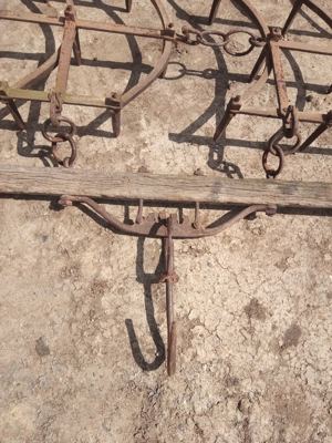 Grape grapi ... - imagine 10